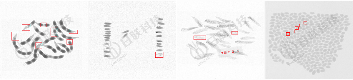 日聯(lián)異物檢測(cè)X光圖